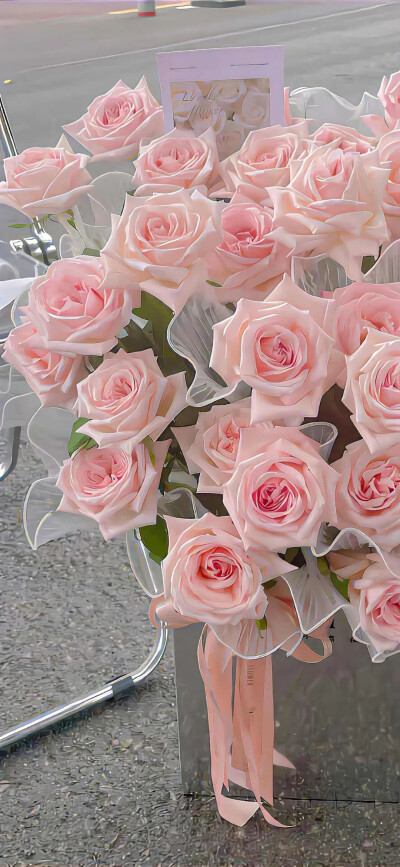 在这发霉的世界我想被阳光晒透.