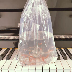 循环往复直至新生.