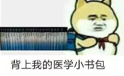 医学生期末表情包