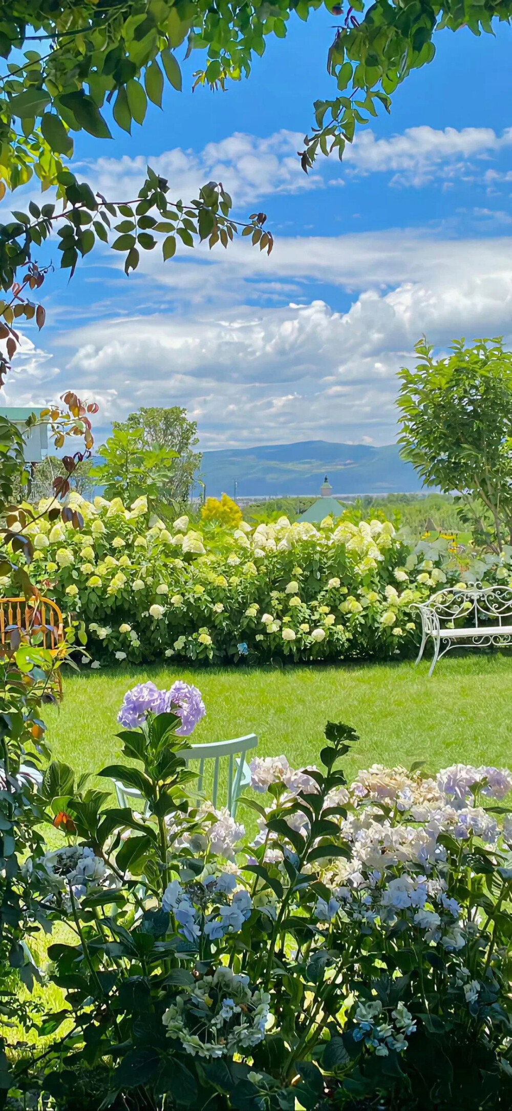 一些全屏的乱七八糟壁纸