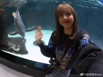 lisa