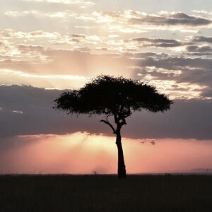 我曾經手拿草莓煙 熱淚盈眶看著我們過去的日常