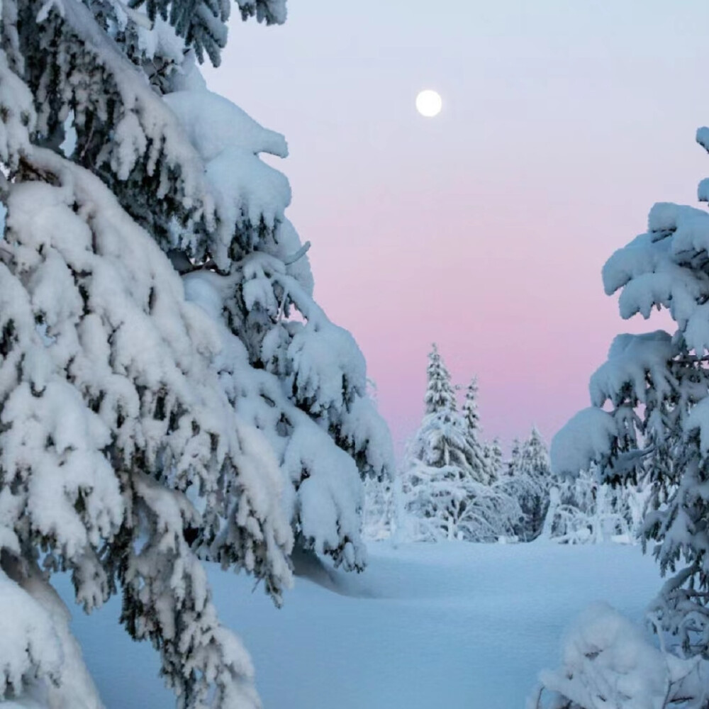 冬季雪景背景图
芬兰的冬天，人间仙境啊
图源小红薯：PursueBeauty