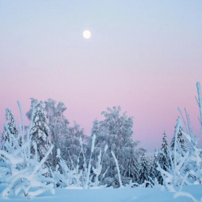 冬季雪景背景图
芬兰的冬天，人间仙境啊
图源小红薯：PursueBeauty