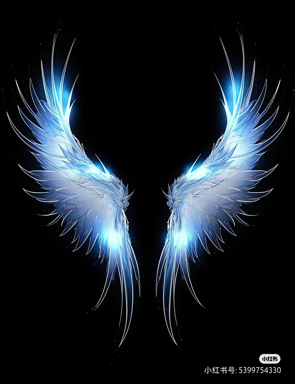 翅膀