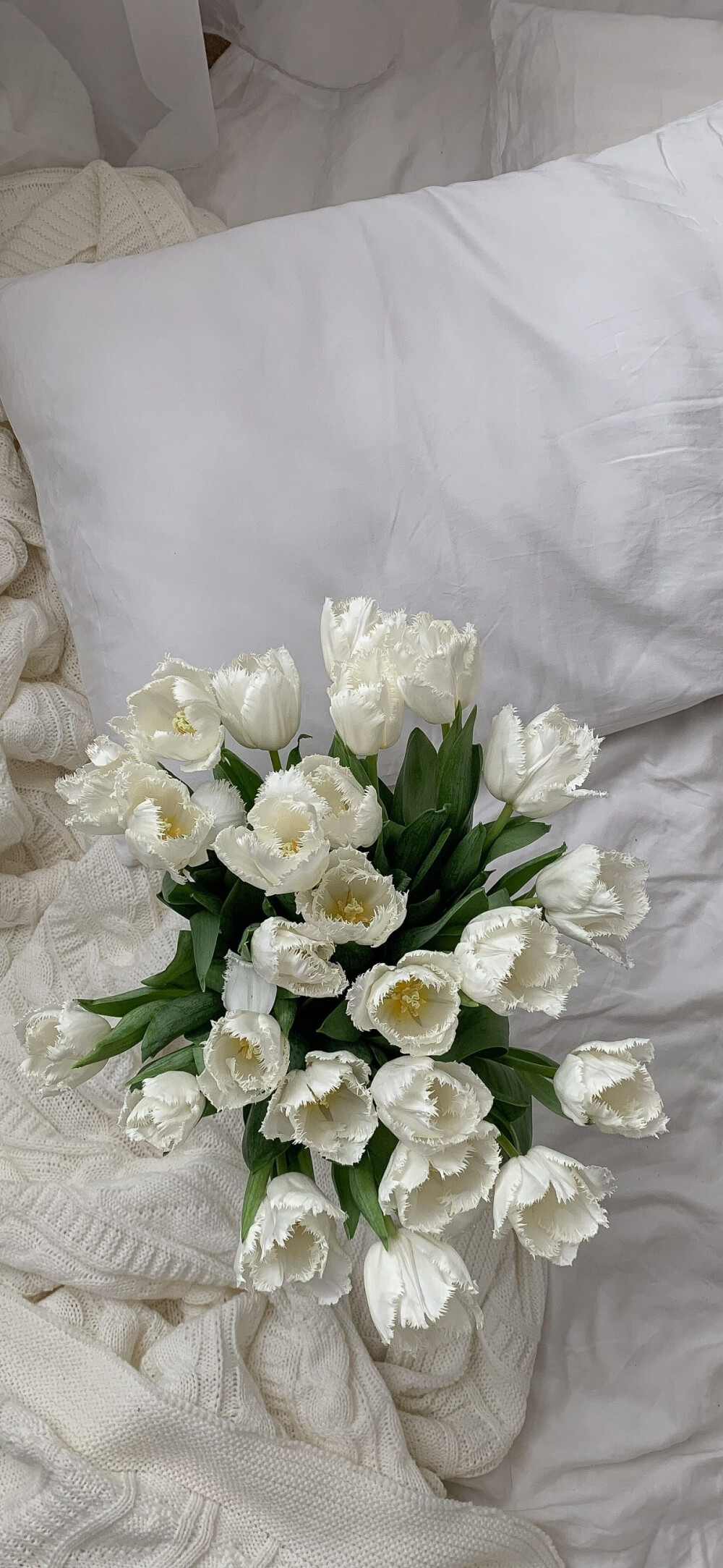 白色小众ins壁纸