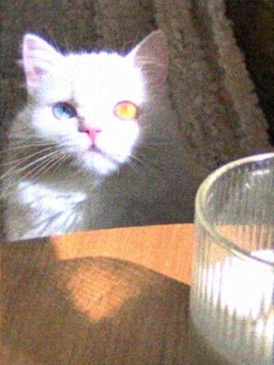 咪咪