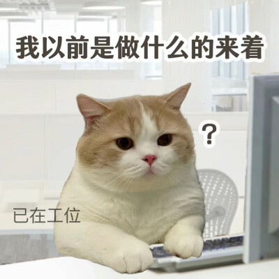 表情包