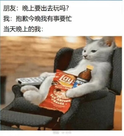 迷因 meme
侵权删。