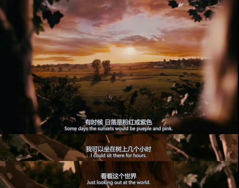 电影语录