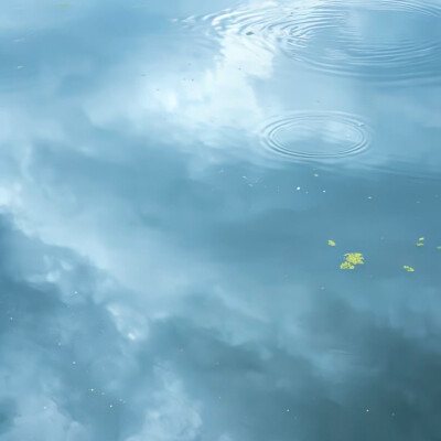 粉蓝