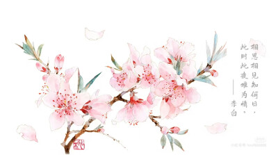 桃花