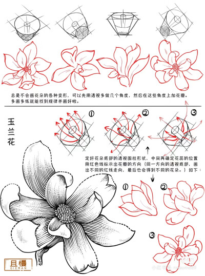 百花打型 3