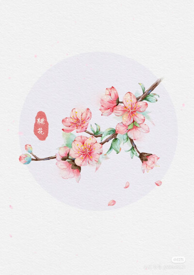 桃花