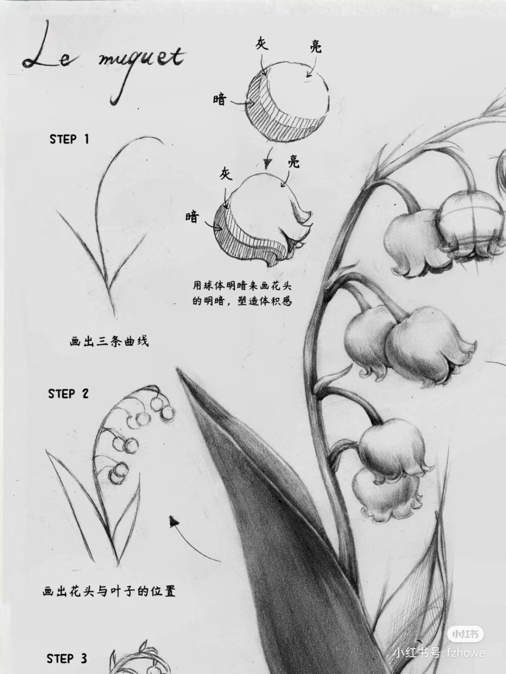 铃兰简笔画 步骤图片