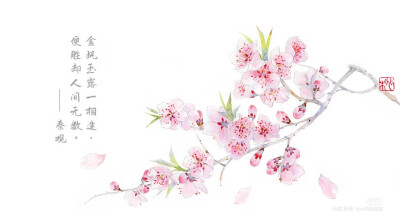 桃花