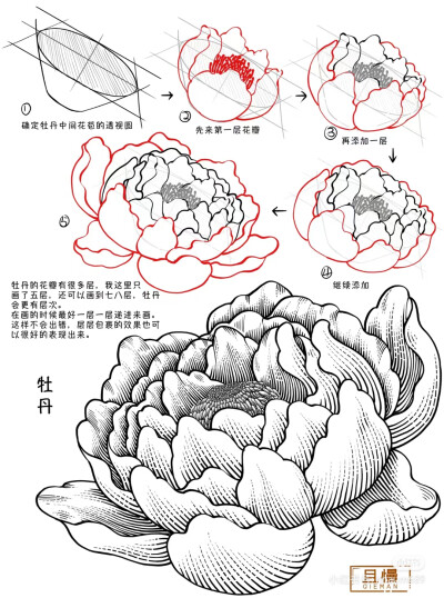 百花打型 3