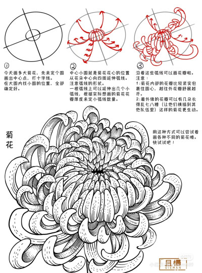 百花打型 3