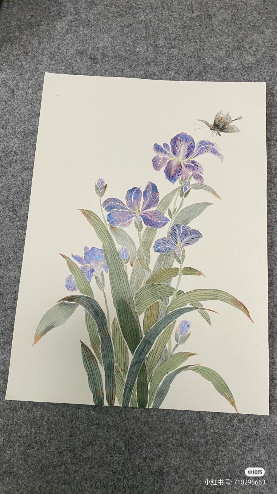 鸢尾花