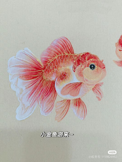 鱼