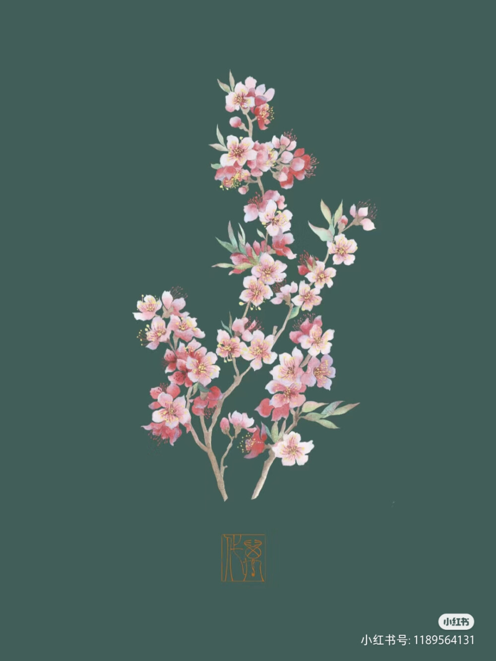 桃花