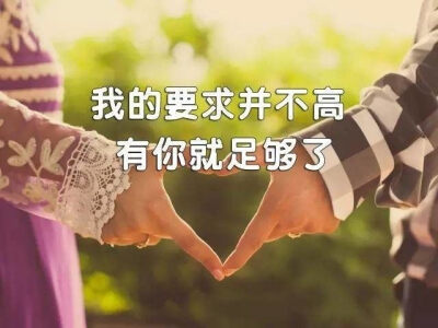 爱情 玫瑰花
