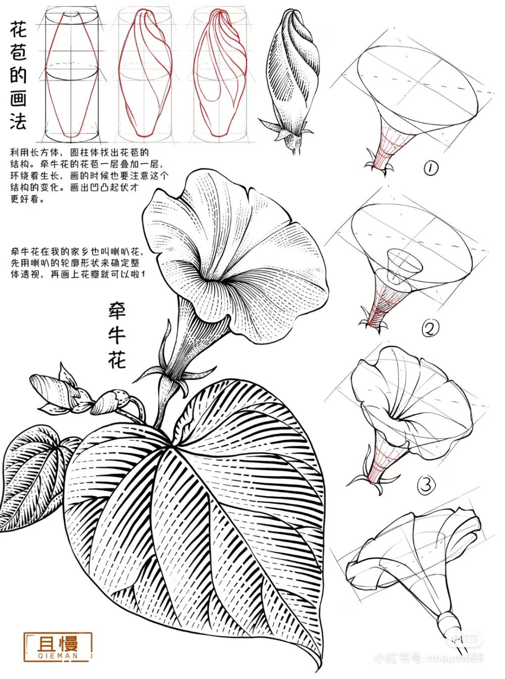 百花打型 3