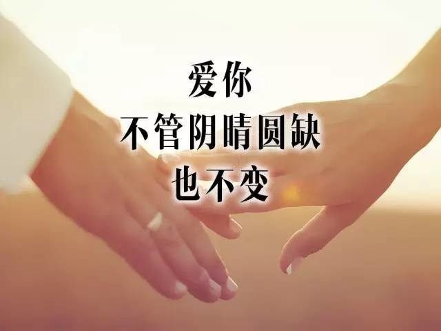 爱情 玫瑰花