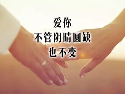 爱情 玫瑰花