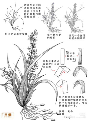 百花打型 3