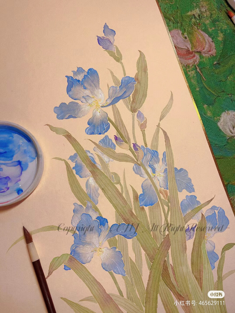 鸢尾花