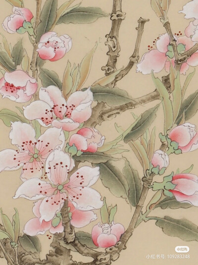 桃花