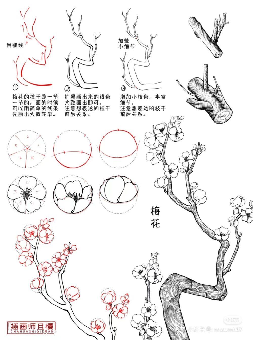 百花打型 3