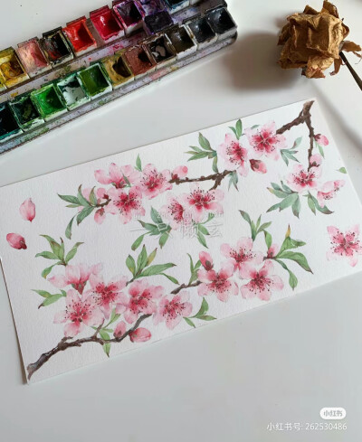 桃花