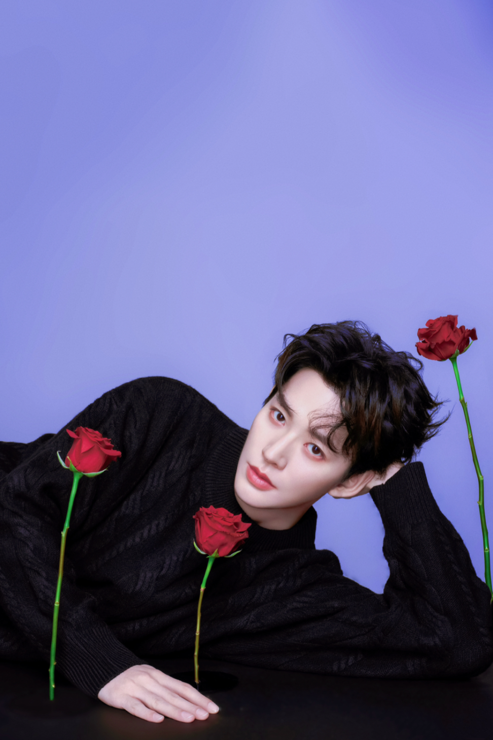 邓为- 高清图片,堆糖,美图壁纸兴趣社区