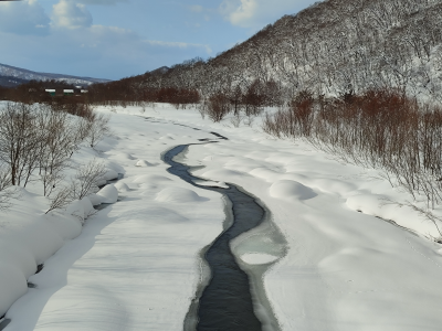 雪景