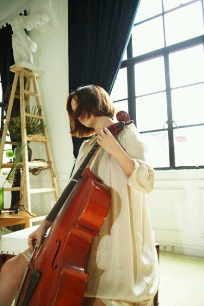 大提琴cello