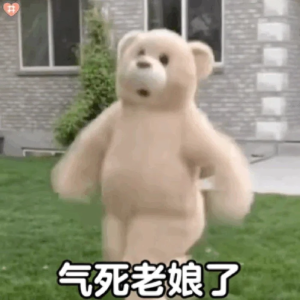 随机表情包,礼貌拿图哦 - 高清图片,堆糖,美图壁纸兴趣社区