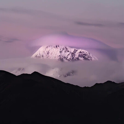 「背景
图源网络，侵权删」