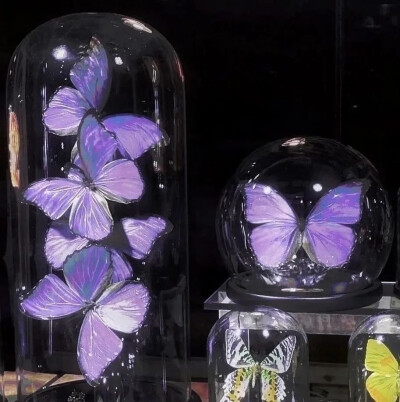 「背景
图源网络，侵权删」