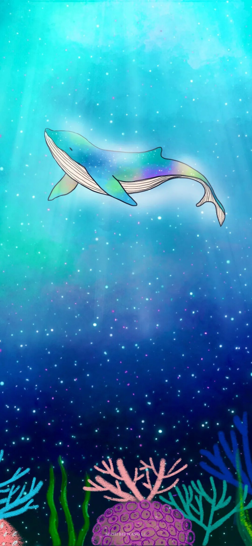 可爱的
图片来自网络侵删