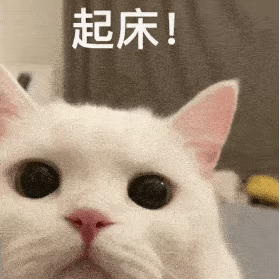 表情包