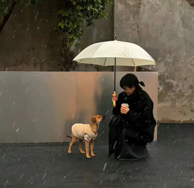 氛围感女头
仙女下凡，好运头像