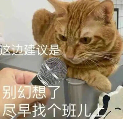 表情包