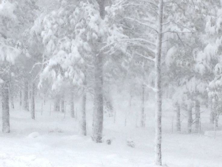 -那场雪 冲刷了一切回忆-
雪景背景图 