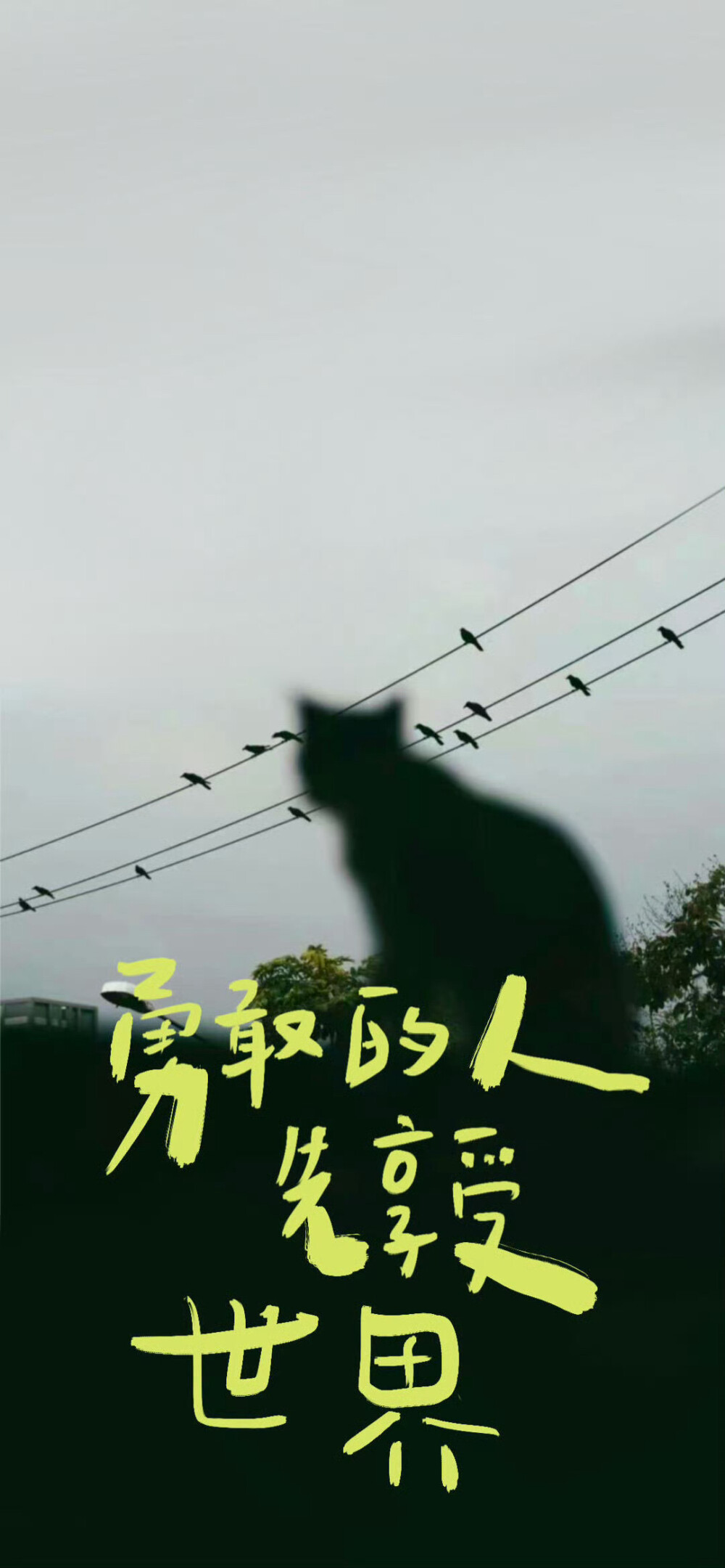 。