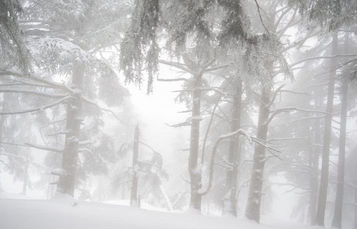 -那场雪 冲刷了一切回忆-
雪景背景图 