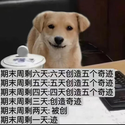 表情包