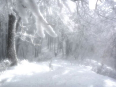 -那场雪 冲刷了一切回忆-
雪景背景图 