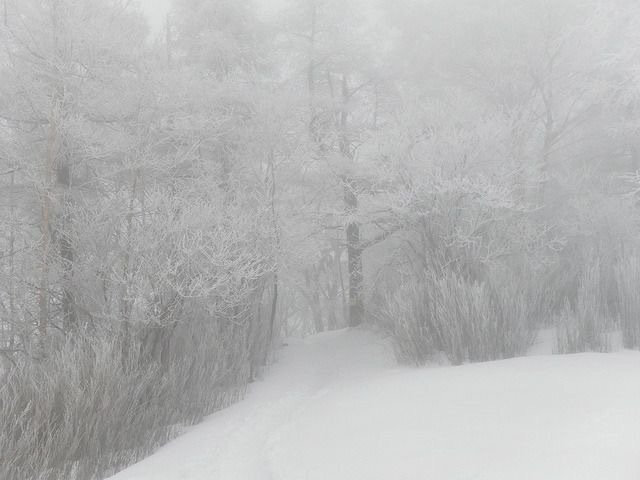 -那场雪 冲刷了一切回忆-
雪景背景图 